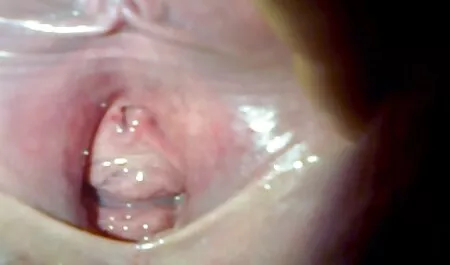 प्राप्त जूते CUIRSEXEDUPTEEN सेक्सी हिंदी वीडियो मूवी