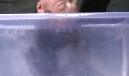 जापानी शौकिया सफाई फुल सेक्स हिंदी फिल्म झटका