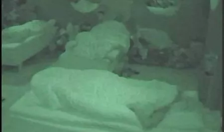 शौकिया सेक्सी में हिंदी मूवी समलैंगिकों