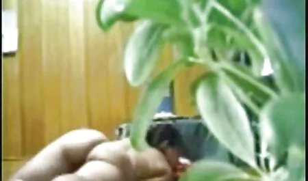 गीले टैटू बिच हिंदी मूवी सेक्सी हिंदी मूवी सेक्सी रीटेट भ्रूण शवान्ज़ मिट इर्म आर्स्च एब