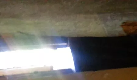 एशियाई Playgirl उसके सींग Playmate के हिंदी सेक्सी मूवी पिक्चर फिल्म साथ यौन संबंध है