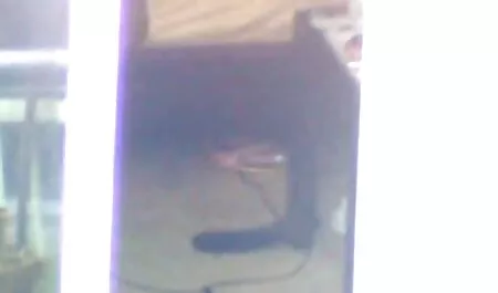 सेक्सी सेक्सी वीडियो हिंदी में मूवी creampie गड़बड़